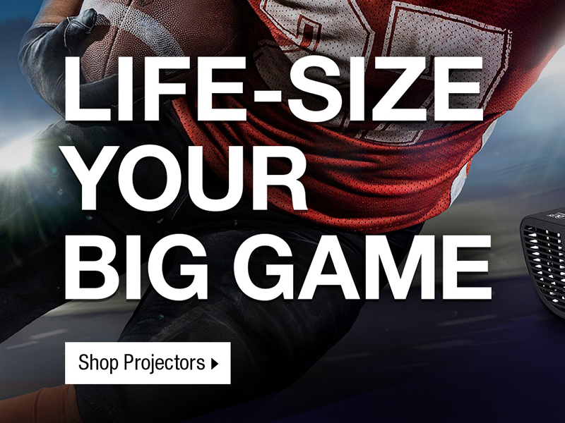 Life-Size Your Big Game