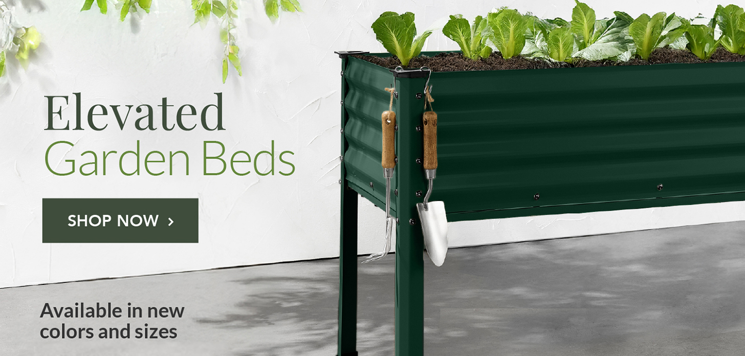 LaValadez - Best Choice Products